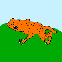 Frog free design Royalty Free Vector Image - VectorStock