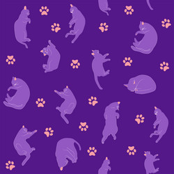 mystical seamless pattern of cats in boho style vector image