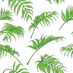 Tropical Palm Frond Pattern Vector Image