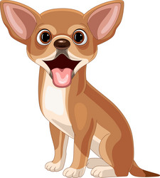 cartoon chihuahua dog on white background vector