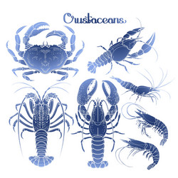 graphic crustaceans collection vector