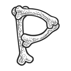 Bone Letter P Sketch Vector Image