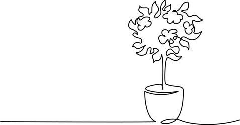 Blooming Tree in Pot - Continuous Line Art vector image