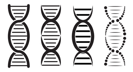 dna helix icon symbol of genome structure black vector