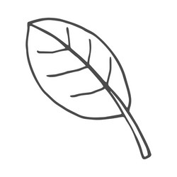 Leaf doodle nature isolated vector