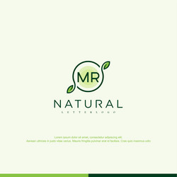 Mr beauty initial logo art handwriting logo Vector Image