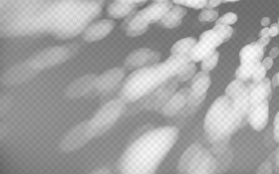 abstract shadow overlay from foliage vector image