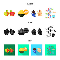 Isolated object test and synthetic icon set vector