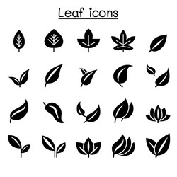 Floral seamless pattern with graphic leaves Vector Image
