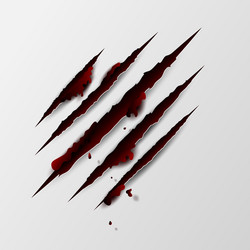 Sharp Claw Scratches - Red Blood vector