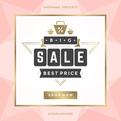 sale banner template design with gold frame vector image