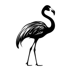 elegant silhouette of a flamingo Vector Image