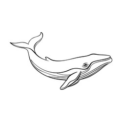outline while icon realistic sketch minimal vector image