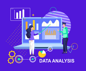 Data analysis and interpretation verification vector