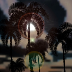 tropical palm trees before the storm sun rays Vector Image