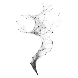 connection structure wireframe vector image