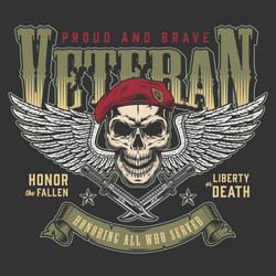 Soldier Skull with Angel Wings Vector Image