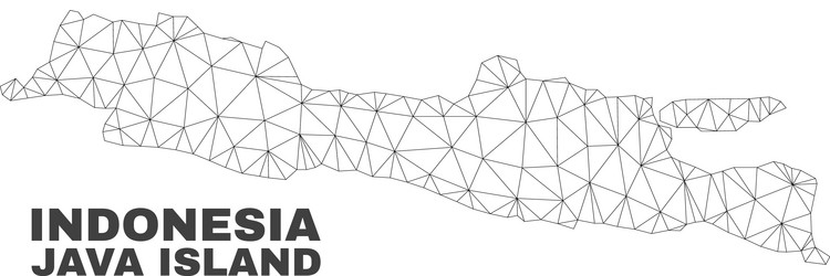 polygonal mesh java island map vector image