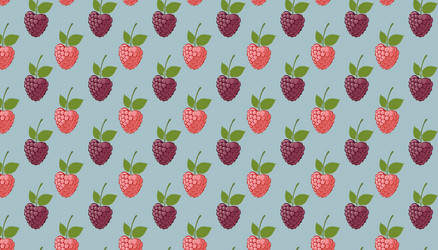 seamless pattern with raspberry and blackberry vector image