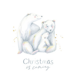 Cute Christmas Bears Illustration Vector Image