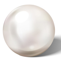 Shiny natural sea pearl with light effects vector