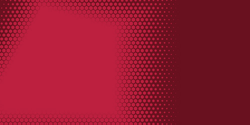 geometric abstract hexagon two color background vector image
