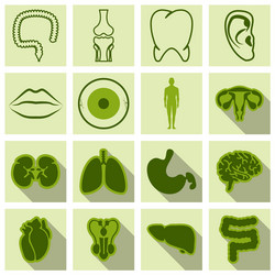 set of medicine icons in flat style with shadow vector