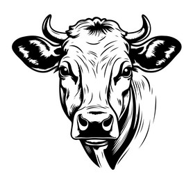 Farm Animal Sketch - Cow Head vector