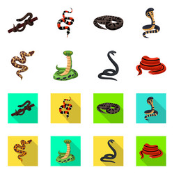 Isolated object snake and creepy icon set vector