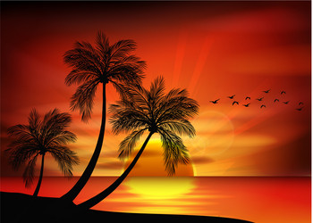 Sunset background on beach Royalty Free Vector Image