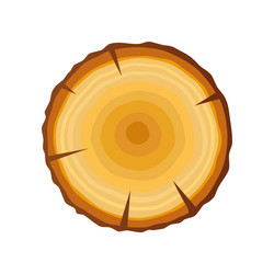 Cross section of tree stump or trunk wood cut Vector Image