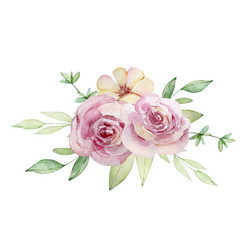 watercolor of a bouquet light pink roses Vector Image