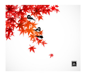 Japanese Maple Birds Vector Image