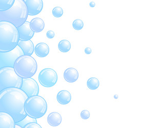 soap bubbles pattern repeated vertical foam vector image