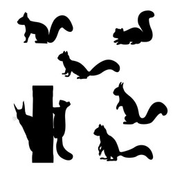 Squirrel Silhouettes Collection Vector Image
