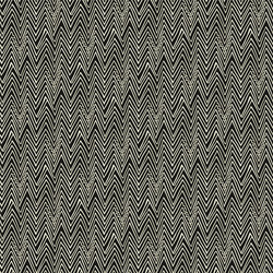 simple linear pattern with zigzag lines vector image