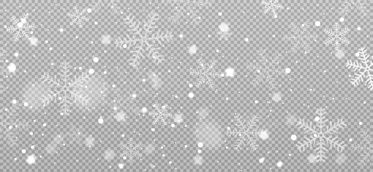 Falling golden snow on transparent background Vector Image