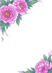 elegant background with peony flowers Vector Image