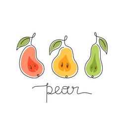 Three stylized pears freehand lettering vector