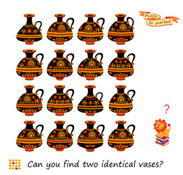 can you find two identical vases logic puzzle vector image