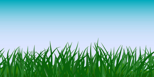 Green grass seamless border sky background vector