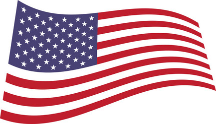 United States Flag vector