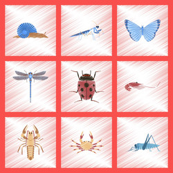 assembly flat shading style bug snail vector image