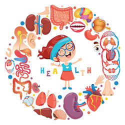 Human organs Royalty Free Vector Image - VectorStock