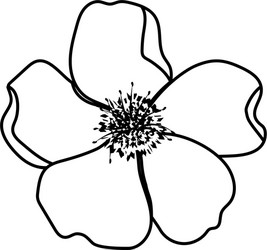 Flower petals drawing Royalty Free Vector Image