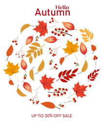 Autumn colorful leaves sale background vector