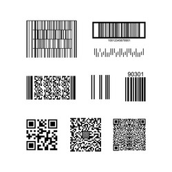 barcode and qr code isolated on a background vector image
