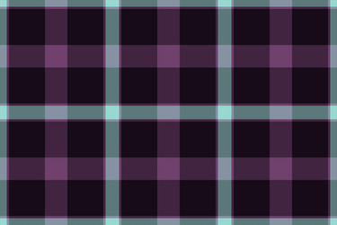 plaid tartan fabric of check texture pattern vector image