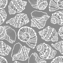 seamless pattern from white seashell vector image