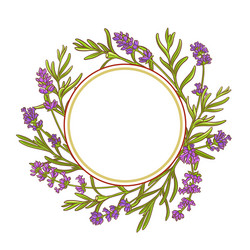 Lavender plant frame vector